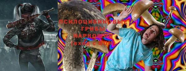 тгк Алзамай