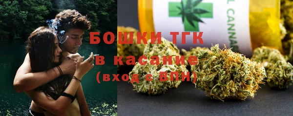 тгк Алзамай
