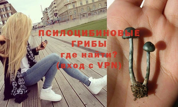 тгк Алзамай