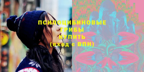 прущие грибы Алексеевка